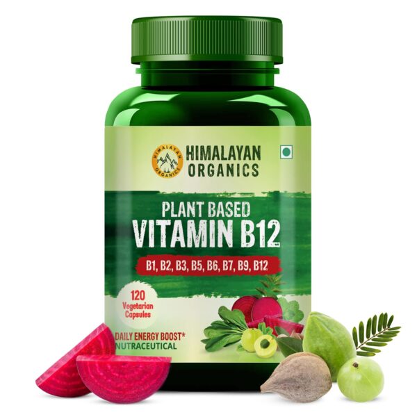 Himalayan Organics Plant Based Vitamin B-12 | Natural Wheat Grass, Moringa, Alfalfa | Boost Energy Level | Good For Nervous System & Brain Function -120 Veg Capsules