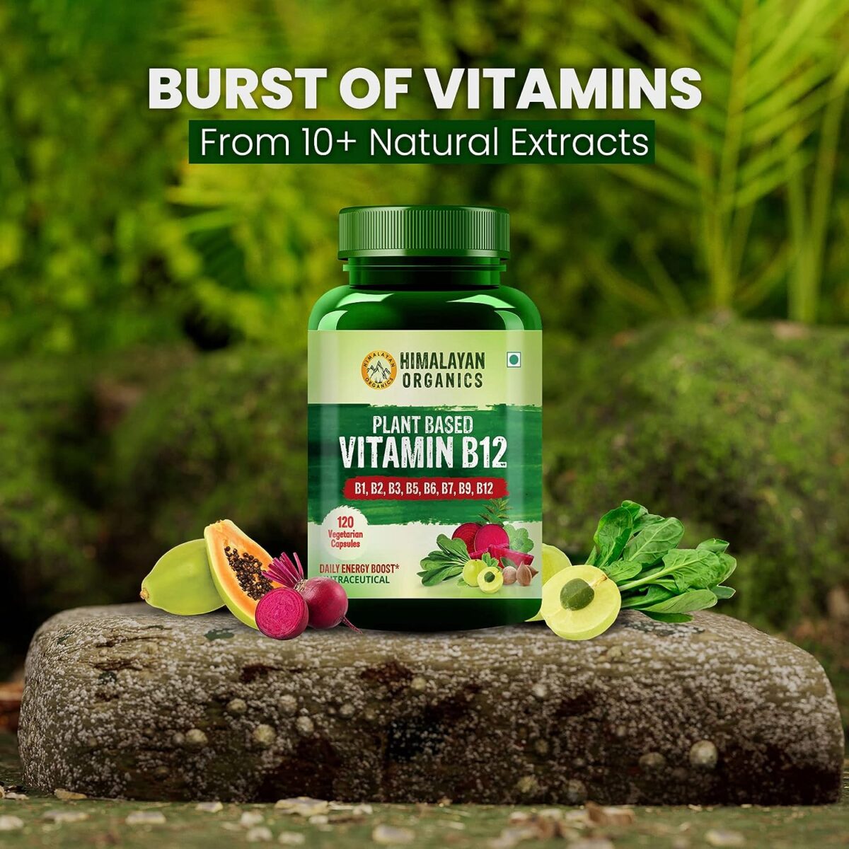 Himalayan Organics Plant Based Vitamin B-12 | Natural Wheat Grass, Moringa, Alfalfa | Boost Energy Level | Good For Nervous System & Brain Function -120 Veg Capsules - Image 4