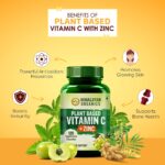 Himalayan Organics Plant Based Vitamin C with Zinc (120 Capsules) as Amla Extract - Glowing Skin & Immunity - Image 3