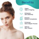 Pilgrim Korean Retinol Anti Aging Night Cream With Hyaluronic Acid & Vitamin C |Discover Young, Wrinkle-Free & Radiant Skin| Anti Aging Cream For Oily & Dry Skin| For Men & Women|Korean Skin Care|50Gm - Image 3