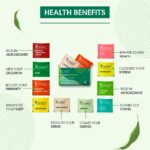 Teabox Assorted Green Tea Bags 20 pcs | 100% Natural Immunity Boosting Sampler Pack | USDA Certified Organic Green Tea | 2 Teabags of 10 Flavours Each - Image 2