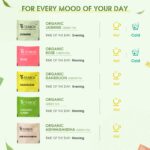 Teabox Assorted Green Tea Bags 20 pcs | 100% Natural Immunity Boosting Sampler Pack | USDA Certified Organic Green Tea | 2 Teabags of 10 Flavours Each - Image 4