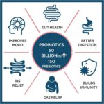 Carbamide Forte Probiotics Supplement 50 Billion for Women & Men–60 Veg Capsules - Image 3