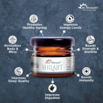 DR. MOREPEN Shilajit Resin, 100% Pure Himalayan Extract for Energy, Focus and Vitality | Natural & Mineral Rich Endurance Enhancer | Authentic Ayurvedic Formulation - 15g (Black) - Image 2