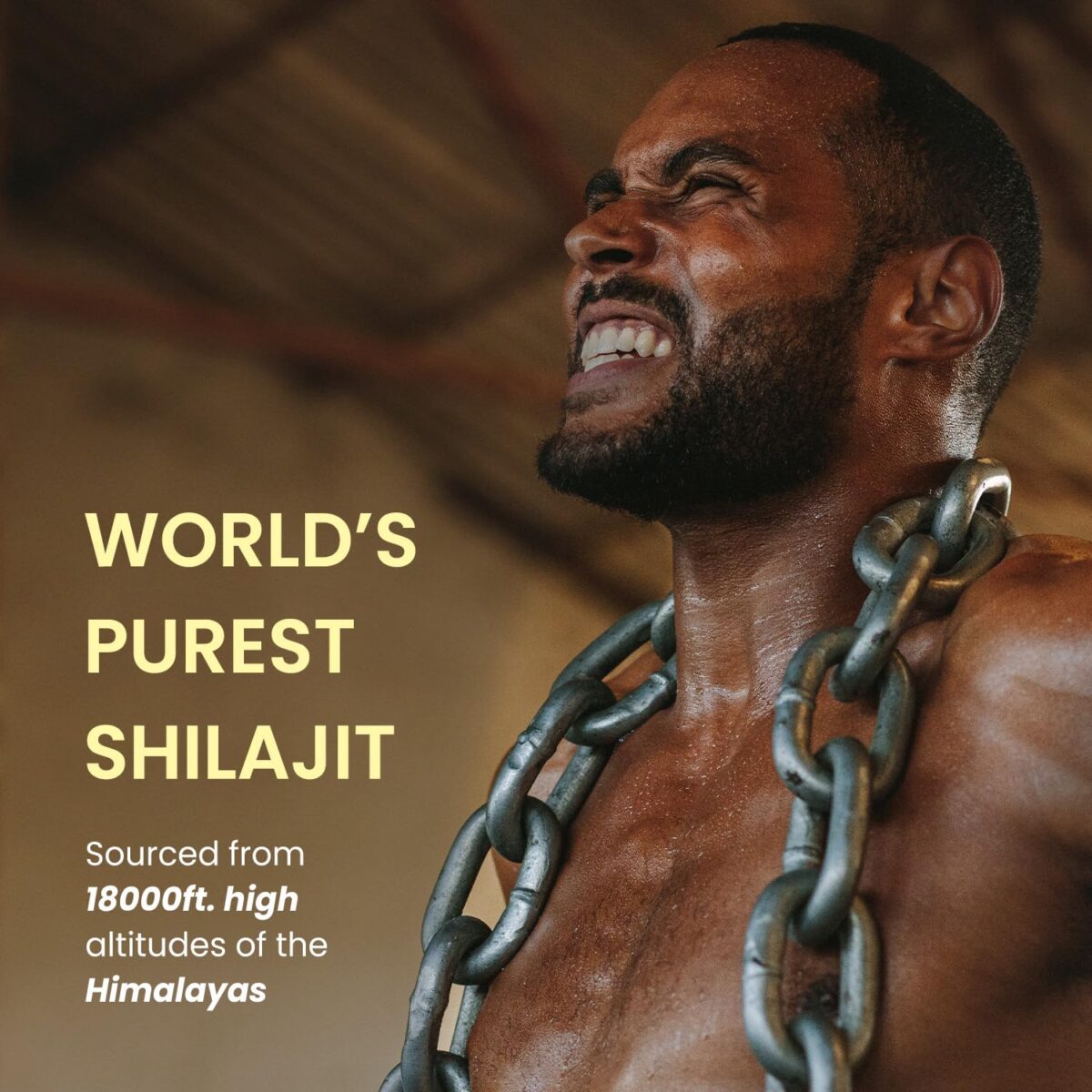 Himalayan Organics 100% Pure Shilajit / Shilajeet Resin to Boost Performance ,Power, Stamina, Endurance, Strength With Fulvic Acid & 85+ Trace Minerals Complex for Energy ,Maximum Potency & Immune Support - 20g - Image 5