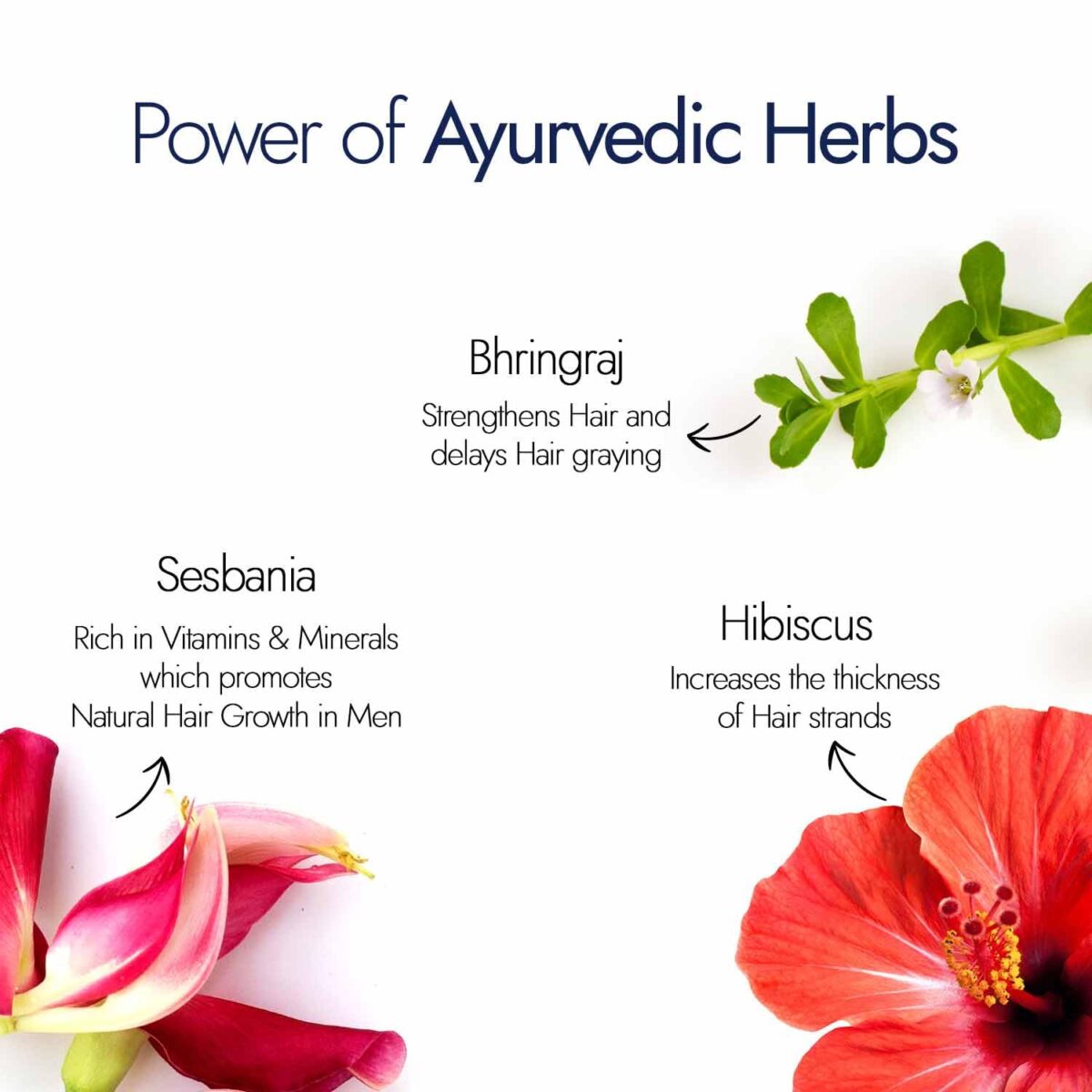 Kapiva Hair Gummies For Hair Growth | With 12500 mcg of Natural Source of Biotin from Sesbania Extract | Controls Hair fall and Increases Hair Growth | No added Sugar | Nautral Source of VitaminB | 60 Gummies Pack - Image 6