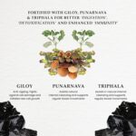 Naturesque Ayurvedic Pure Original Himalayan Shilajit Resin – The Ultimate Performance Booster for Men and Women, Enhancing Strength and Stamina - 20g - Image 3