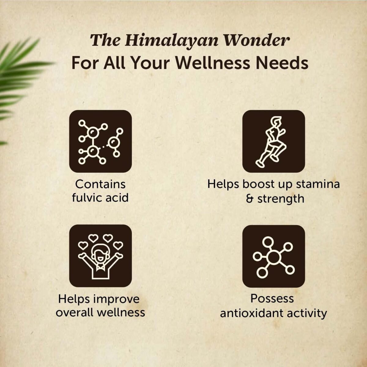 Neuherbs Pure & Original 100% Ayurvedic Himalayan Shilajit Shilajeet Resin 20g 4 Neuherbs Pure & Original 100% Ayurvedic Himalayan Shilajit/Shilajeet Resin 20g With 75% Fulvic Acid - For Endurance, Stamina and strength | Lab Tested - Image 4