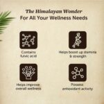 Neuherbs Pure & Original 100% Ayurvedic Himalayan Shilajit/Shilajeet Resin 20g With 75% Fulvic Acid - For Endurance, Stamina and strength | Lab Tested - Image 4