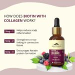 Rasayanam Liquid Biotin & Collagen for Hair Growth 25,000mcg (50 ml Berry Flavour) | Supports Hair Growth & Healthy Skin, Nails | Stronger Than Tablets & Capsules to reduce hair fall for Men & Women - Image 4