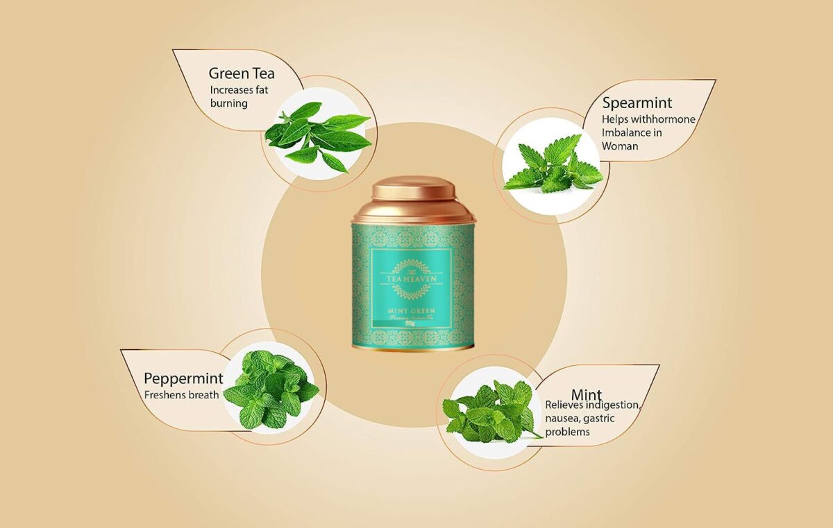 The Tea Heaven | Tea Gift - Mint Green Tea| Tea Gift Pack-Treats Stomach discomfort-100% Natural Ingredients- 100 Grams(50 Cups) - Image 3