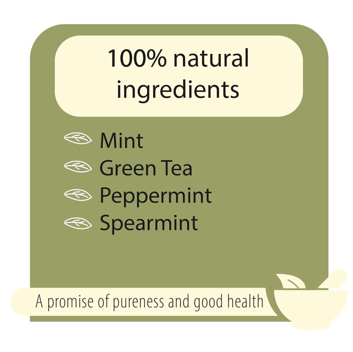 The Tea Heaven | Tea Gift - Mint Green Tea| Tea Gift Pack-Treats Stomach discomfort-100% Natural Ingredients- 100 Grams(50 Cups) - Image 7