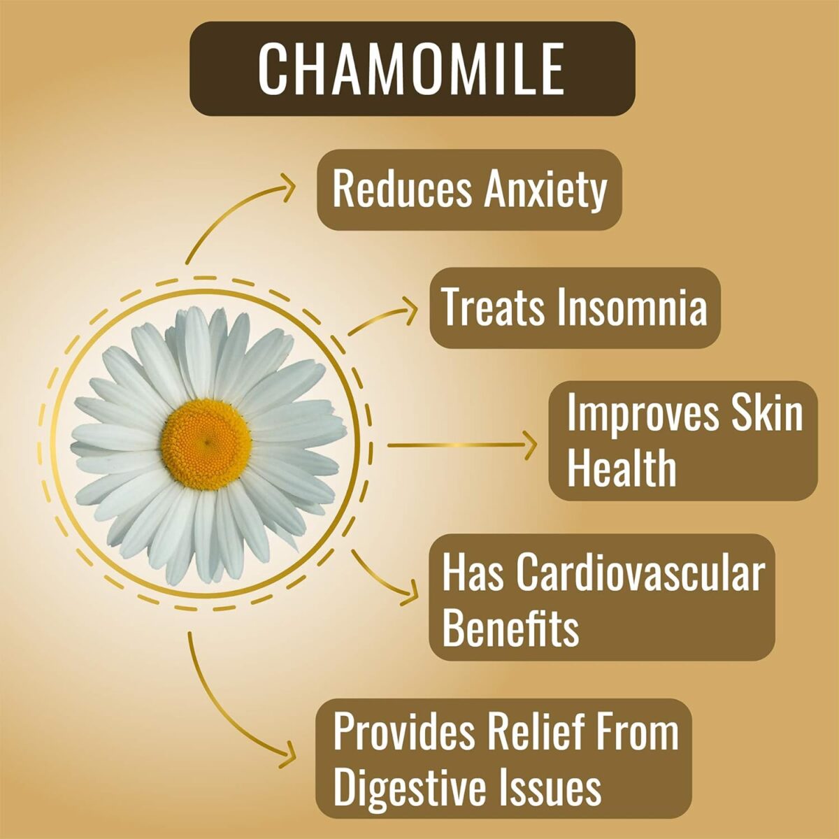 The Tea Heaven | Tea Gift - Organic Pure Chamomile Flowers- 50g - Promotes Sleep and Reduces Anxiety - Image 2