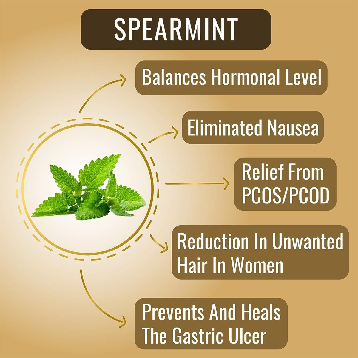 The Tea Heaven | Tea Gift - Spearmint tea PCOS/PCOD Relief Herbal Tea 50g- Helps Acne, Unwanted Facial Hair Growth, Hair Loss - Image 2