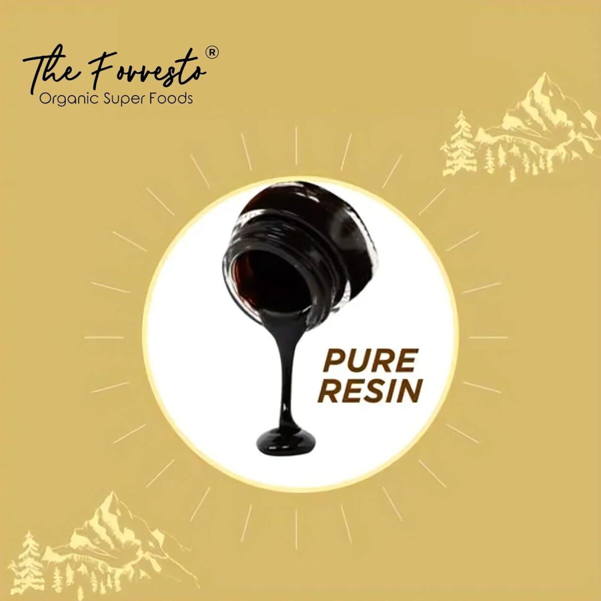 TheForresto Himalayan Shilajit Original/Shilajeet Resin - For Endurance and Stamina, Supports Muscle & Bone Strength (Men & Women) (20 Gms Pack) - Image 2