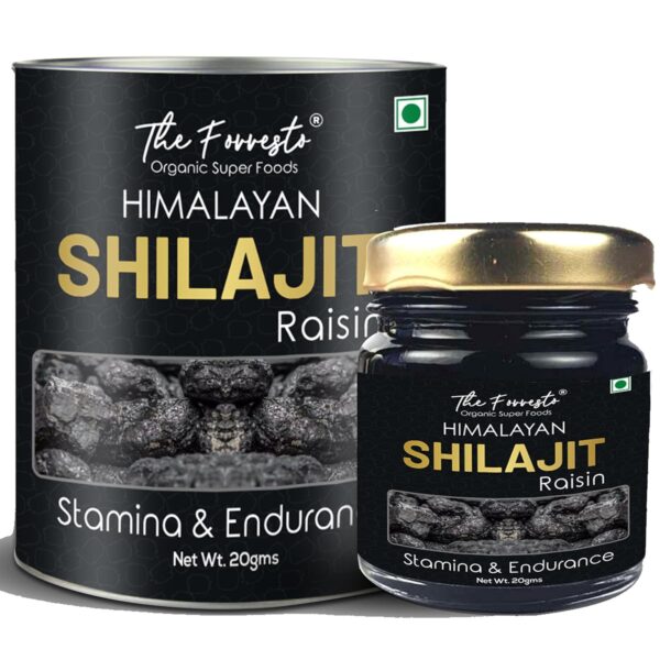 TheForresto Himalayan Shilajit Original/Shilajeet Resin - For Endurance and Stamina, Supports Muscle & Bone Strength (Men & Women) (20 Gms Pack)