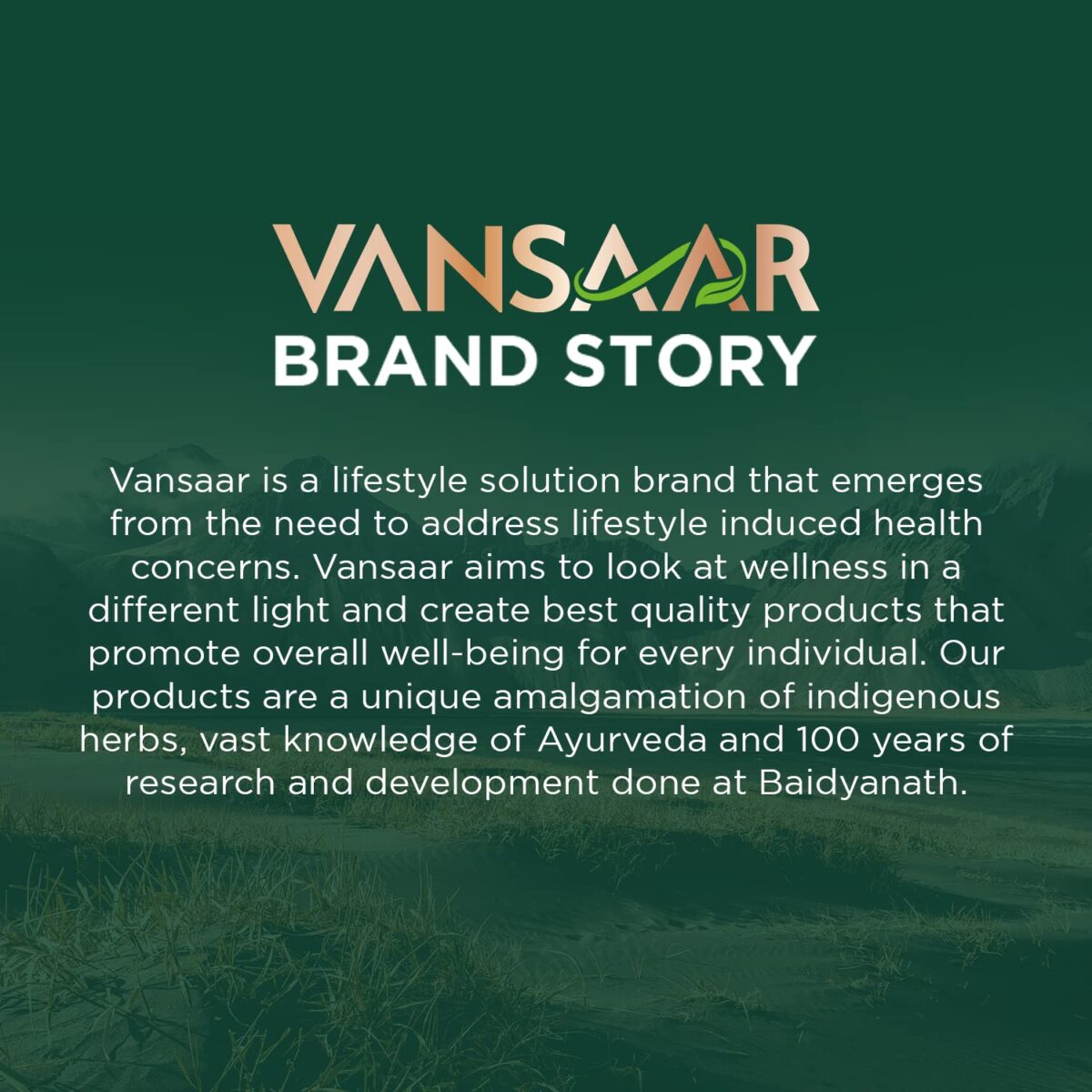 Vansaar Shilajit/Shilajeet Resin, 15g - Performance Booster | Original Shilajit | Naturally Boost Strength & Stamina | Suitable for Men & Women | Tested for Purity - Image 7