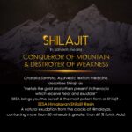 sesa Himalayan Shilajit Resin 20G -100% Ayurvedic Helps Boost Strength, Endurance & Immunity - 60%+ Fulvic Acid |Contains Lab Certificate - Image 7
