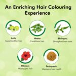 Indica Easy Do-It-Yourself Hair Color Shampoo Pump Pack with 5 Herbal Extracts and 100% Ammonia Free, Long Lasting Formula, 180 ML - Natural Black Colour (Gloves Included) - Image 5