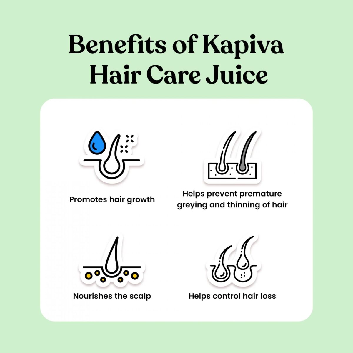 kapiva Hair Care Juice 1L For Hair Care, Hair Growth - Image 3