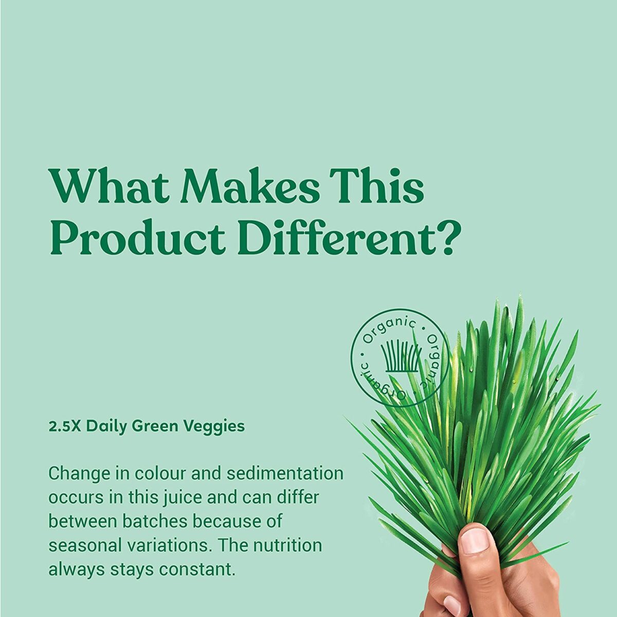 kapiva Wheatgrass Juice 1L For Digestive System - Image 4