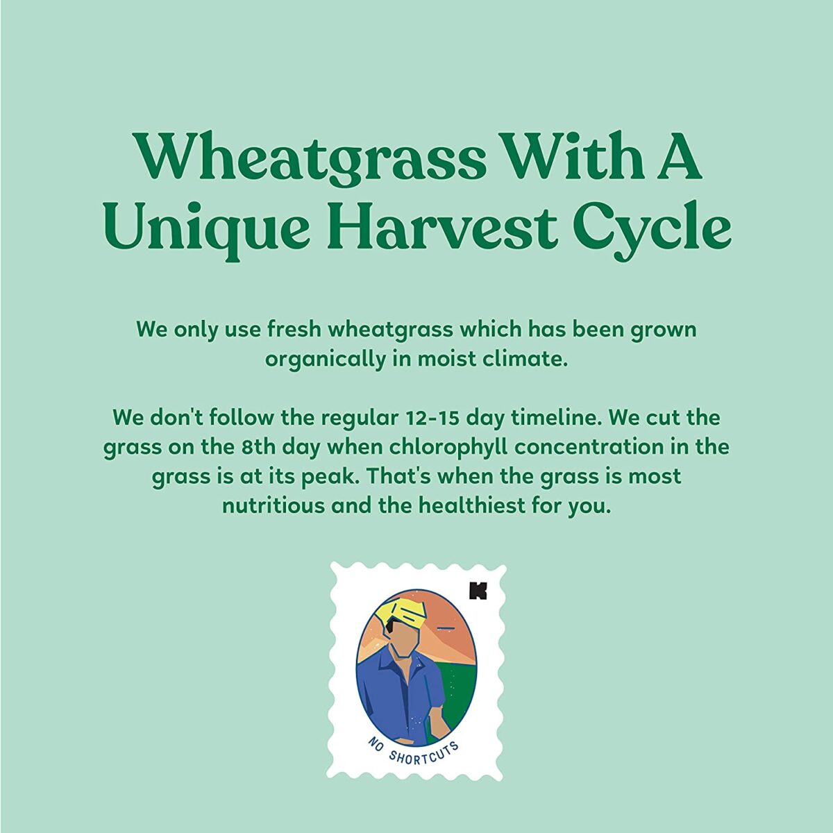 kapiva Wheatgrass Juice 1L For Digestive System - Image 6