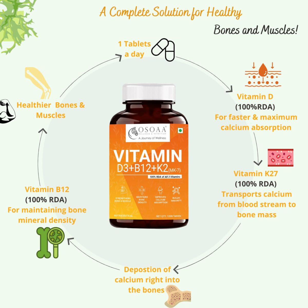 OSOAA 100% RDA Veg Vitamin D3 K2(MK7) B12 for Men & Women - 120 Tabs | Vitashine D3- Lichen Source High Absorption Plant Supplement for Bone, Joint Support & Immunity - Image 5