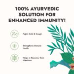 kapiva Wild Tulsi Giloy Juice1L For Cold And Cough - Image 2