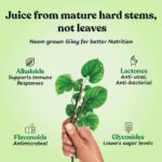 kapiva Wild Tulsi Giloy Juice1L For Cold And Cough - Image 5