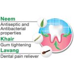ARODENT Herbal oil Spongy Receding loose swollen Gum With Neem 10ml - Image 3
