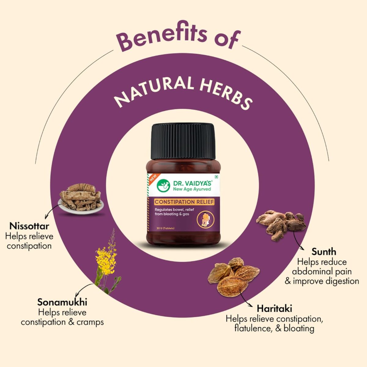 DR. VAIDYA'S Constipation Relief 30 Capsules x 2 - Image 6