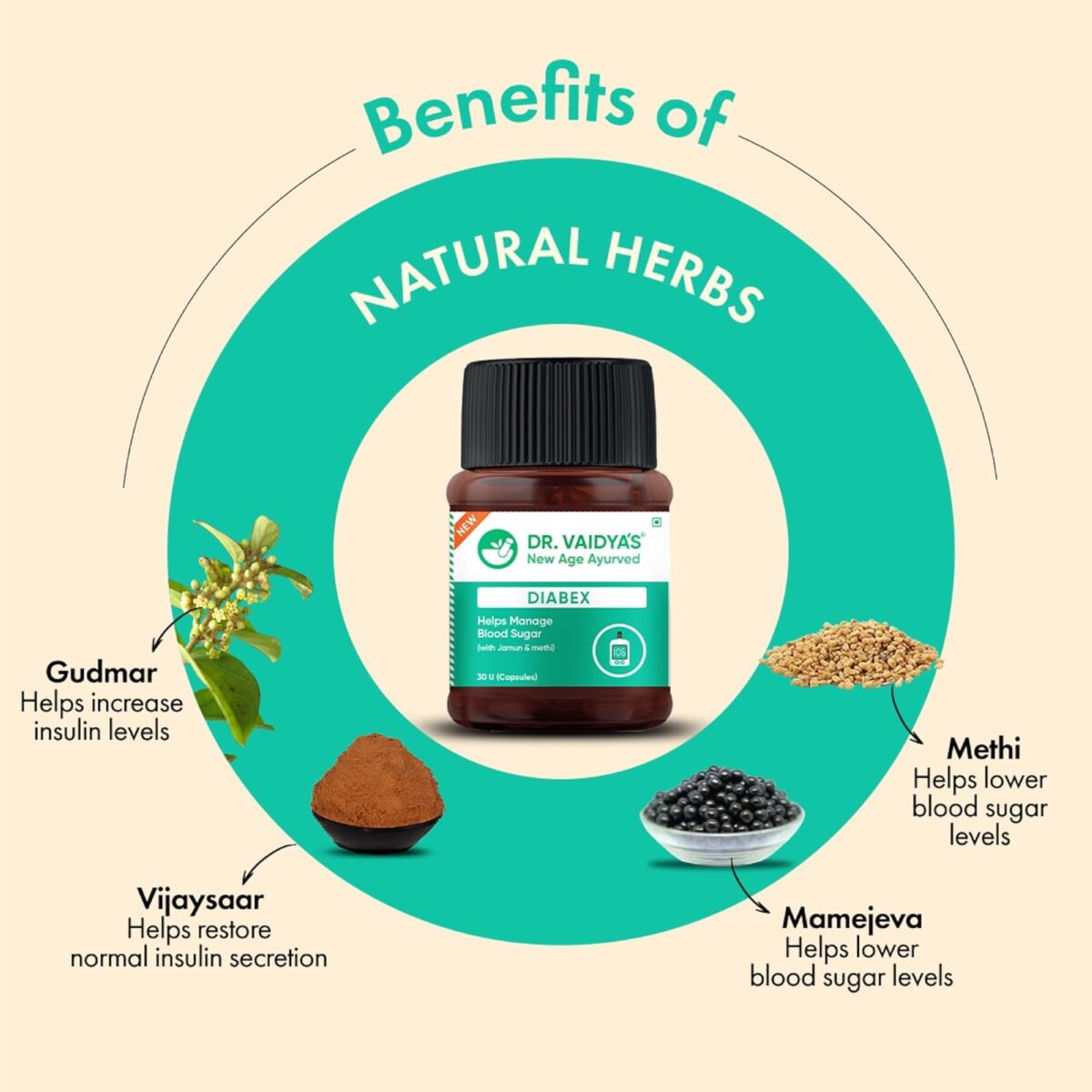 DR. VAIDYA'S Diabex Capsules Goodness of Methi, Karela and Neem (30 Capsules x 2) - Image 6