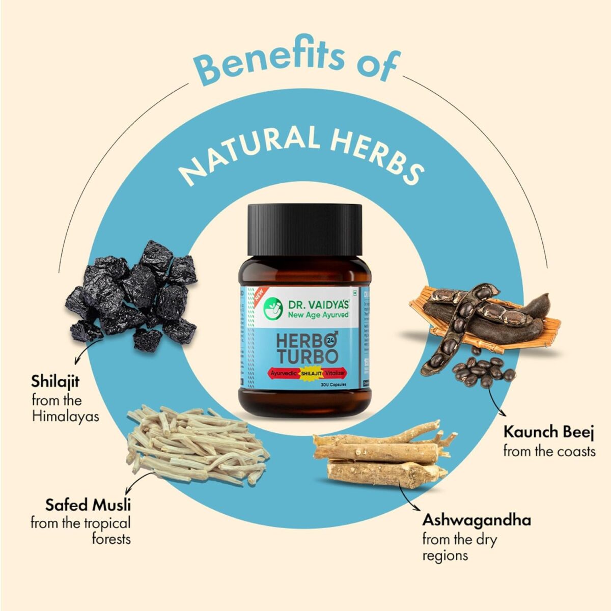 DR. VAIDYA'S Herbo 24 Turbo for Men Stamina & Endurance 30 capsules - Image 4