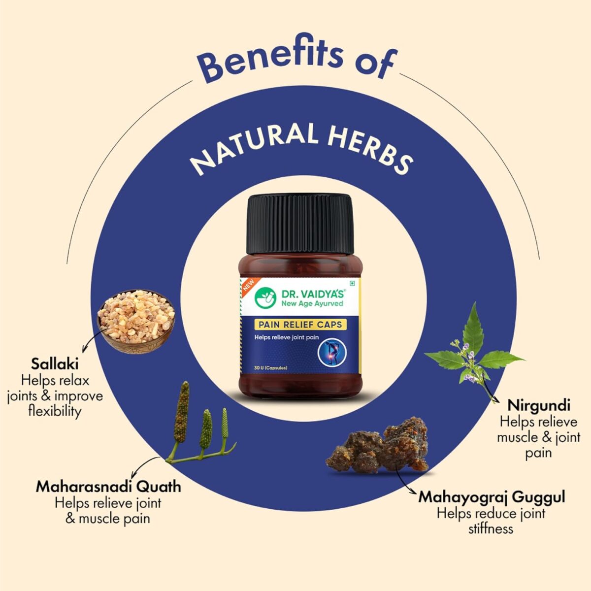 DR. VAIDYA'S Pain Relief Capsules Ayurvedic Medicine for Joint 30 Capsules - Image 4