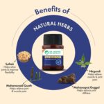 DR. VAIDYA'S Pain Relief Capsules Ayurvedic Medicine for Joint 30 Capsules - Image 4