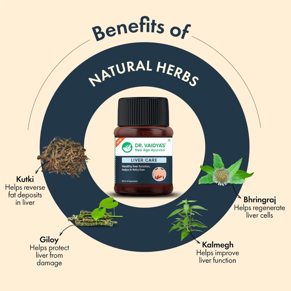 "DR. VAIDYA'S new age ayurveda Liver Care – A Complete Liver Protector That Supports Liver Health And Helps With Fatty Liver Pack of 1 (30 Capsules) " - Image 6