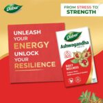 Dabur Ashwagandha Tablets| General Wellness Tablets | Stress Relief | Rich in Antioxidants | Immunity Booster | Rich in Antioxidants | Rejuvenates Body - Image 3