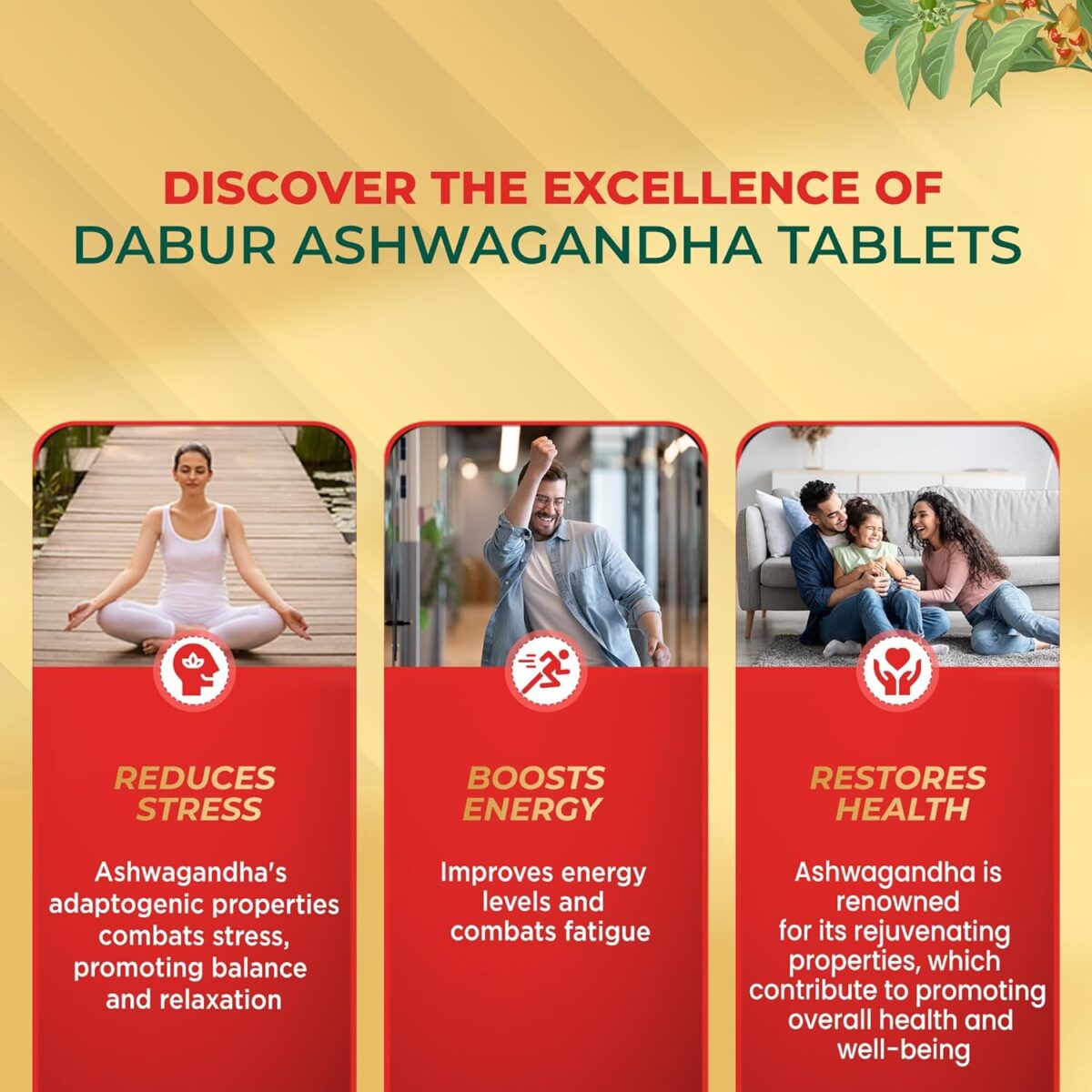 Dabur Ashwagandha Tablets| General Wellness Tablets | Stress Relief | Rich in Antioxidants | Immunity Booster | Rich in Antioxidants | Rejuvenates Body - Image 4