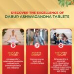 Dabur Ashwagandha Tablets| General Wellness Tablets | Stress Relief | Rich in Antioxidants | Immunity Booster | Rich in Antioxidants | Rejuvenates Body - Image 4