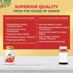 Dabur Ashwagandha Tablets| General Wellness Tablets | Stress Relief | Rich in Antioxidants | Immunity Booster | Rich in Antioxidants | Rejuvenates Body - Image 5