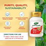 Dabur Ashwagandha Tablets| General Wellness Tablets | Stress Relief | Rich in Antioxidants | Immunity Booster | Rich in Antioxidants | Rejuvenates Body - Image 6