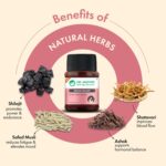 Dr Vaidya'S Mood Boost-(30 Capsules) - Image 4