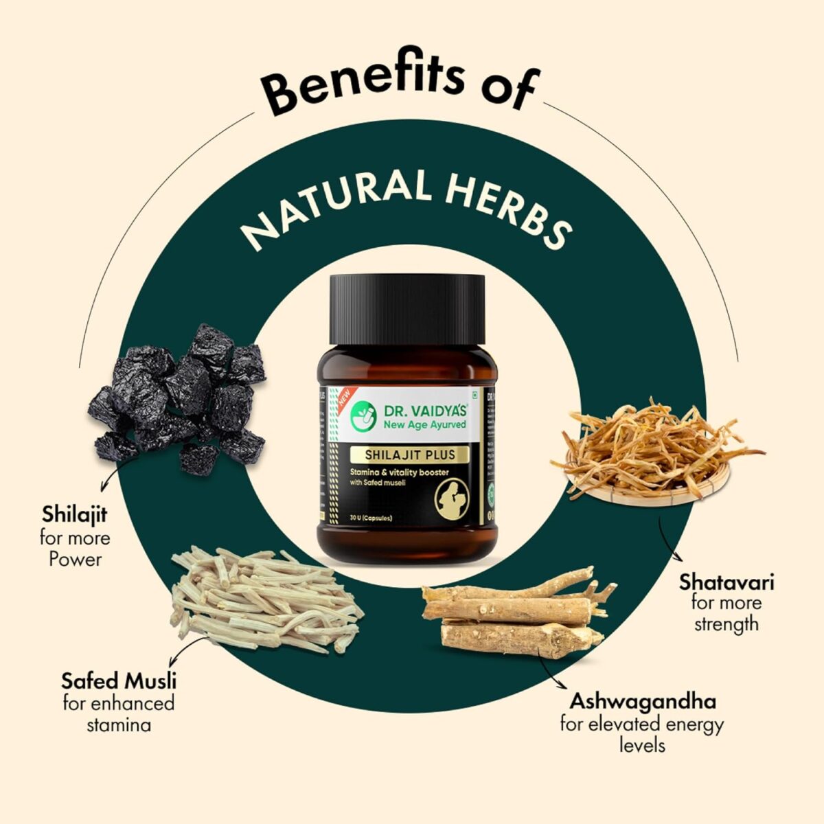 Dr Vaidya'S Shilajit Plus - 30 Capsules x 2 4 Dr Vaidya'S Shilajit Plus - (30 Capsules x 2) - Image 7