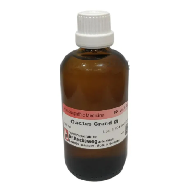 Dr. Reckeweg Cactus Grand Mother Tincture Q (100 ML) For Headaches, Piles