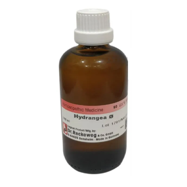 Dr. Reckeweg Hydrangea Mother Tincture Q (100 ML) For Urinary Disorders, Relieves Pain
