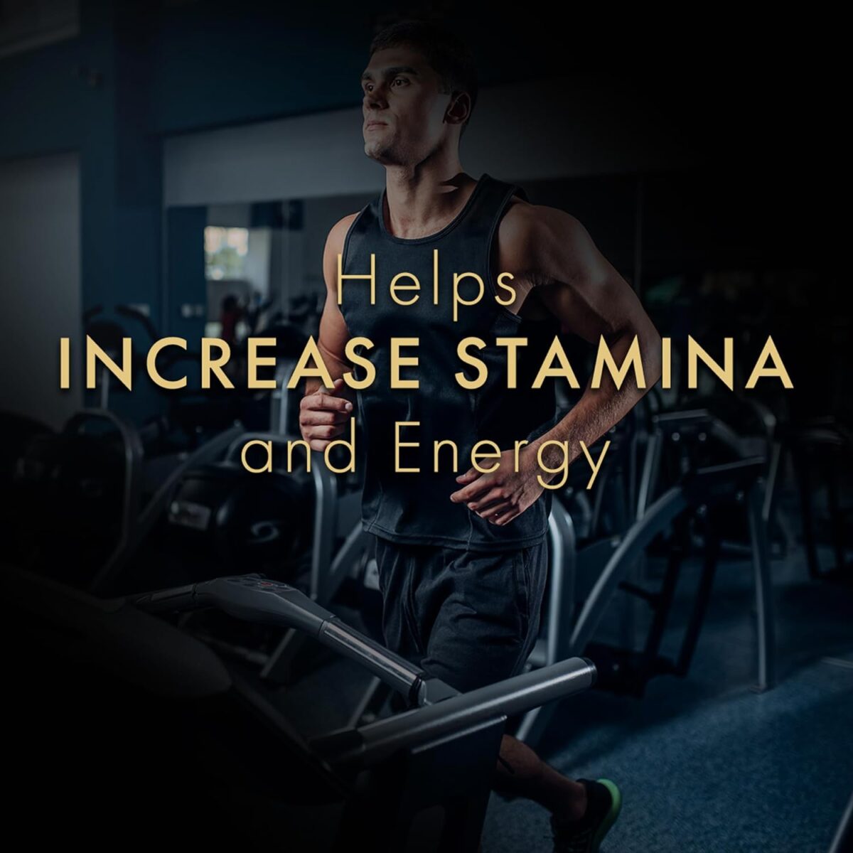 Dr. Vaidya’s Herbo24Turbo Shila-jit Resin Softgels For Boosting Stamina, Strenght & Energy | 30 Softgels x 2 - Image 7