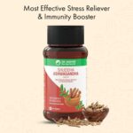 Dr. Vaidya's Shuddha Ashwagandha - Most Effective Stress Reliever and Immunity Booster | Reduce Stress, Improve Sleep, Enhance Muscle Stamina 60 Tablets - Image 6