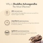Dr. Vaidya's Shuddha Ashwagandha - Most Effective Stress Reliever and Immunity Booster | Reduce Stress, Improve Sleep, Enhance Muscle Stamina 60 Tablets - Image 3