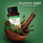 Dr. Vaidya's Shuddha Giloy with Immunity Boosters Energy Enhancer| 3-Step Sanskara Process for Maximum Potency | 60 Tablets - Image 4