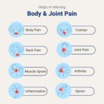 ORTHO-XR Ayurvedic Pain Relief Gel (30gm) - Image 5